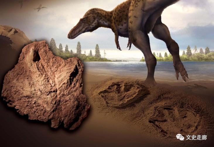 历史上的杨贵妃死在马嵬坡,杨贵妃秘史马嵬坡兵变杨贵妃之死