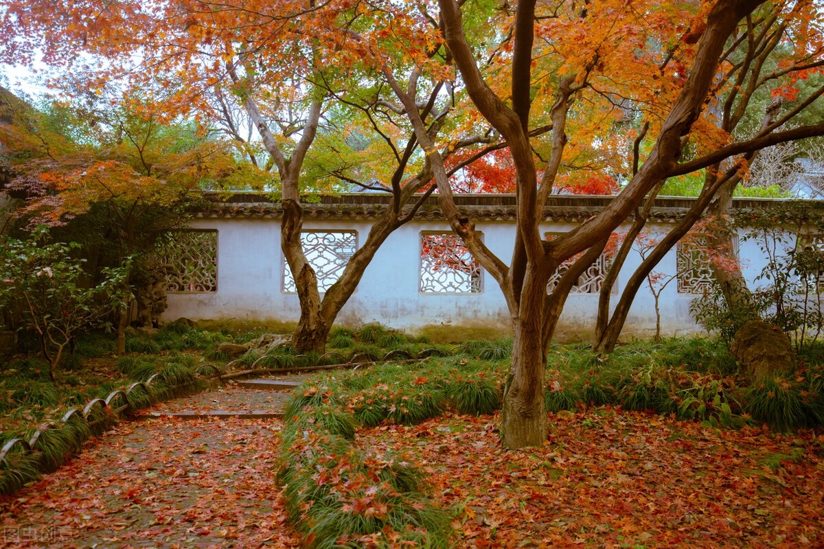 秋天的苏州必去的景点,苏州秋天小众景点推荐
