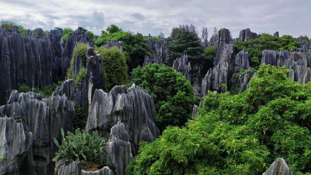 中南半岛各国立体地形,中南半岛和东南亚分布图