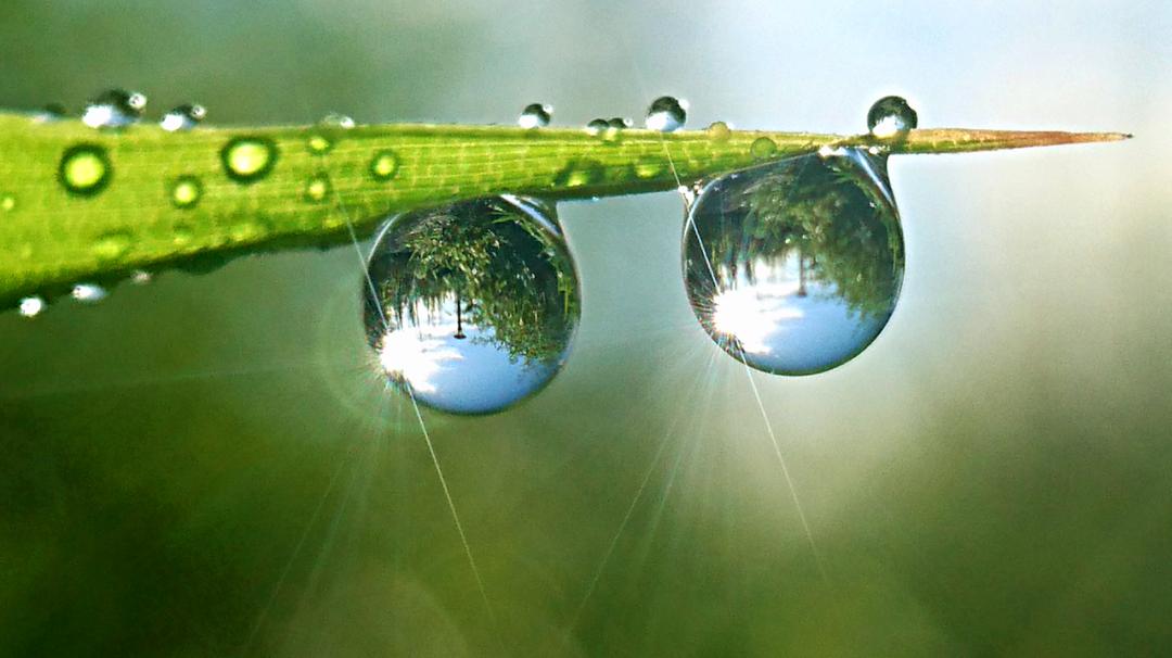 秋雨|江虹明远饮,峡雨落馀飞