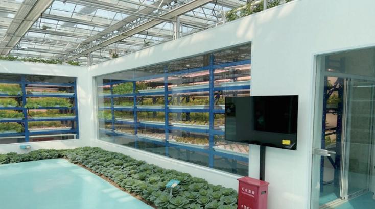 东盟农业合作平台,中国东盟现代农业科技合作园