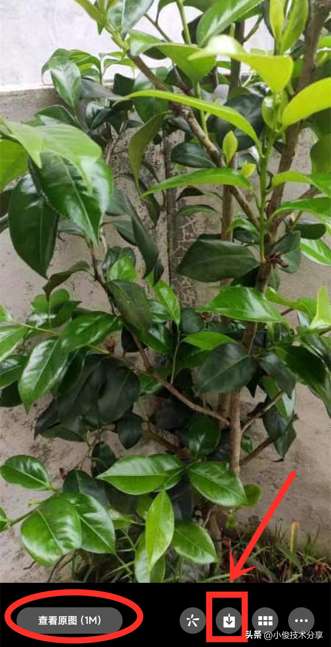 原来手机里有这么多隐藏功能,手机隐藏的照片别人打开就能看到