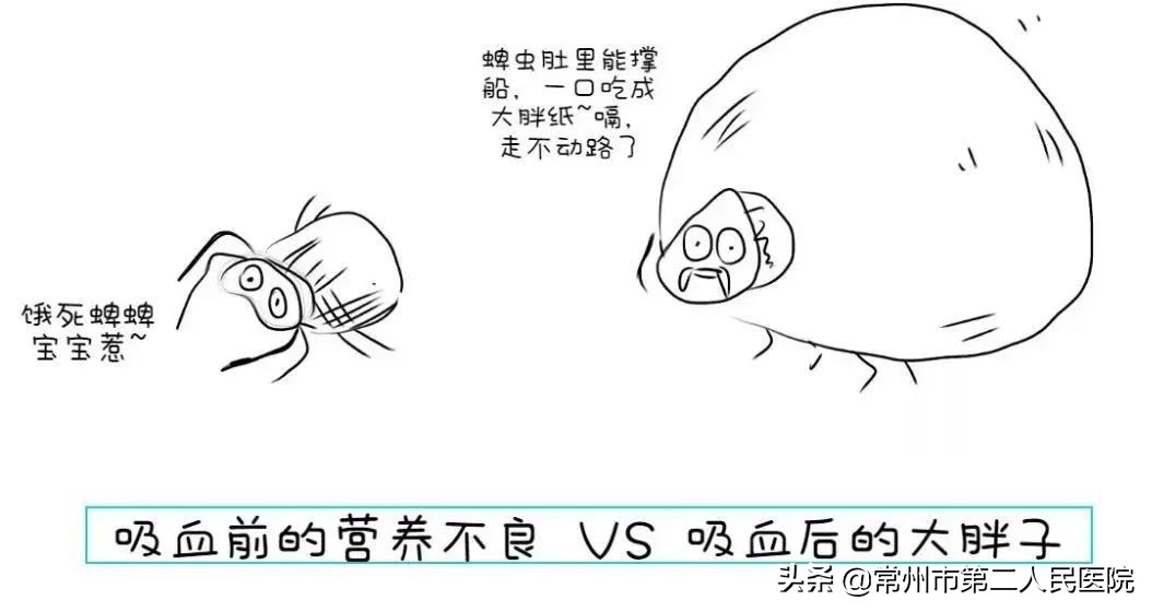 致命的虫子在草地里,致命危险的虫子