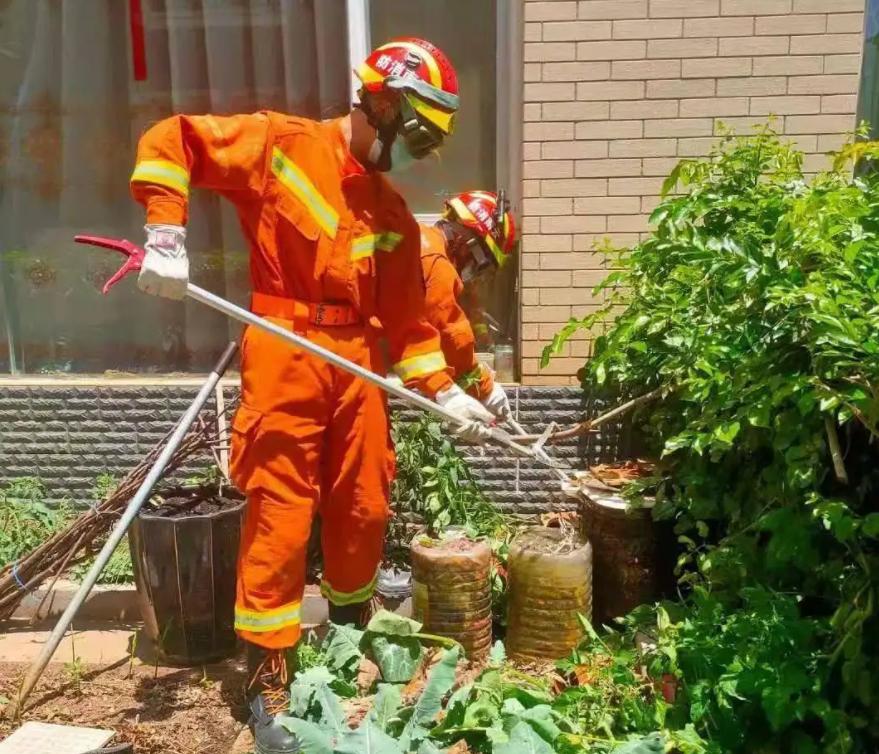 极度崩溃！江西老人在被窝里摸到蛇，如何才能驱蛇？雄黄真的没用