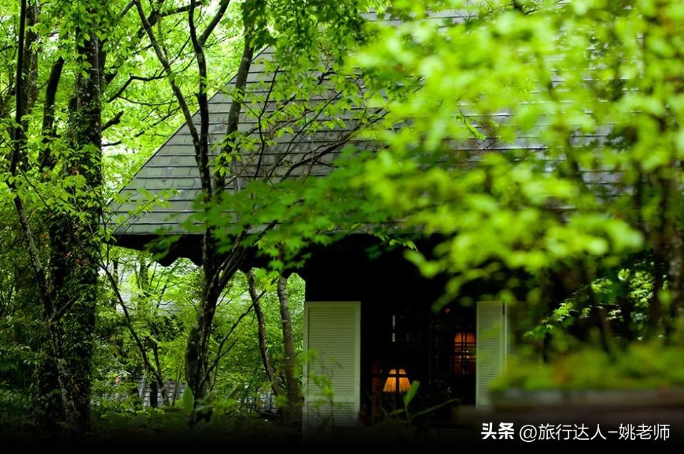 日本冰雪温泉之旅,迎着飞雪泡温泉日本冬季小众游