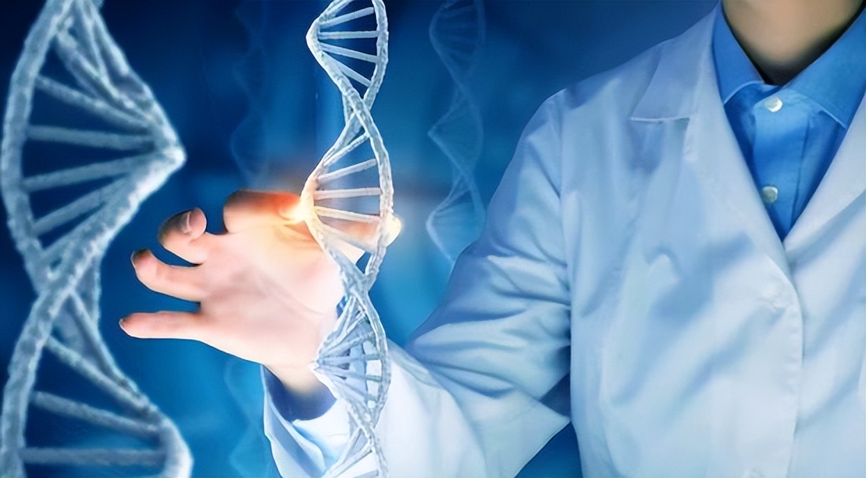 人体缺少什么营养会导致白发,缺乏哪种维生素会导致白发问题