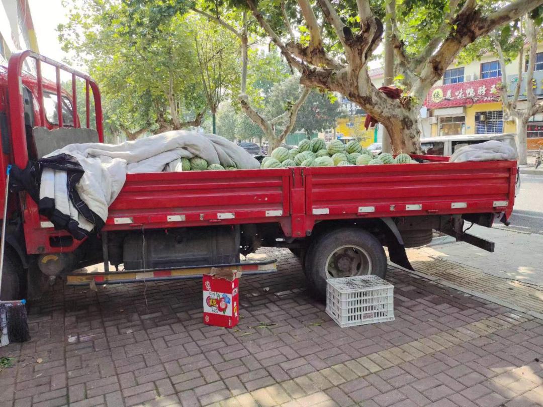 百日突击行动,百日行动