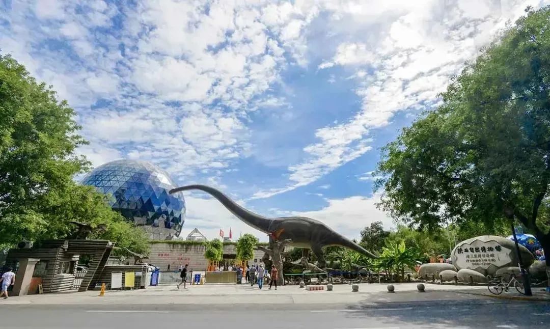 陕西历史博物馆五一开放吗,陕西博物馆游玩景点攻略