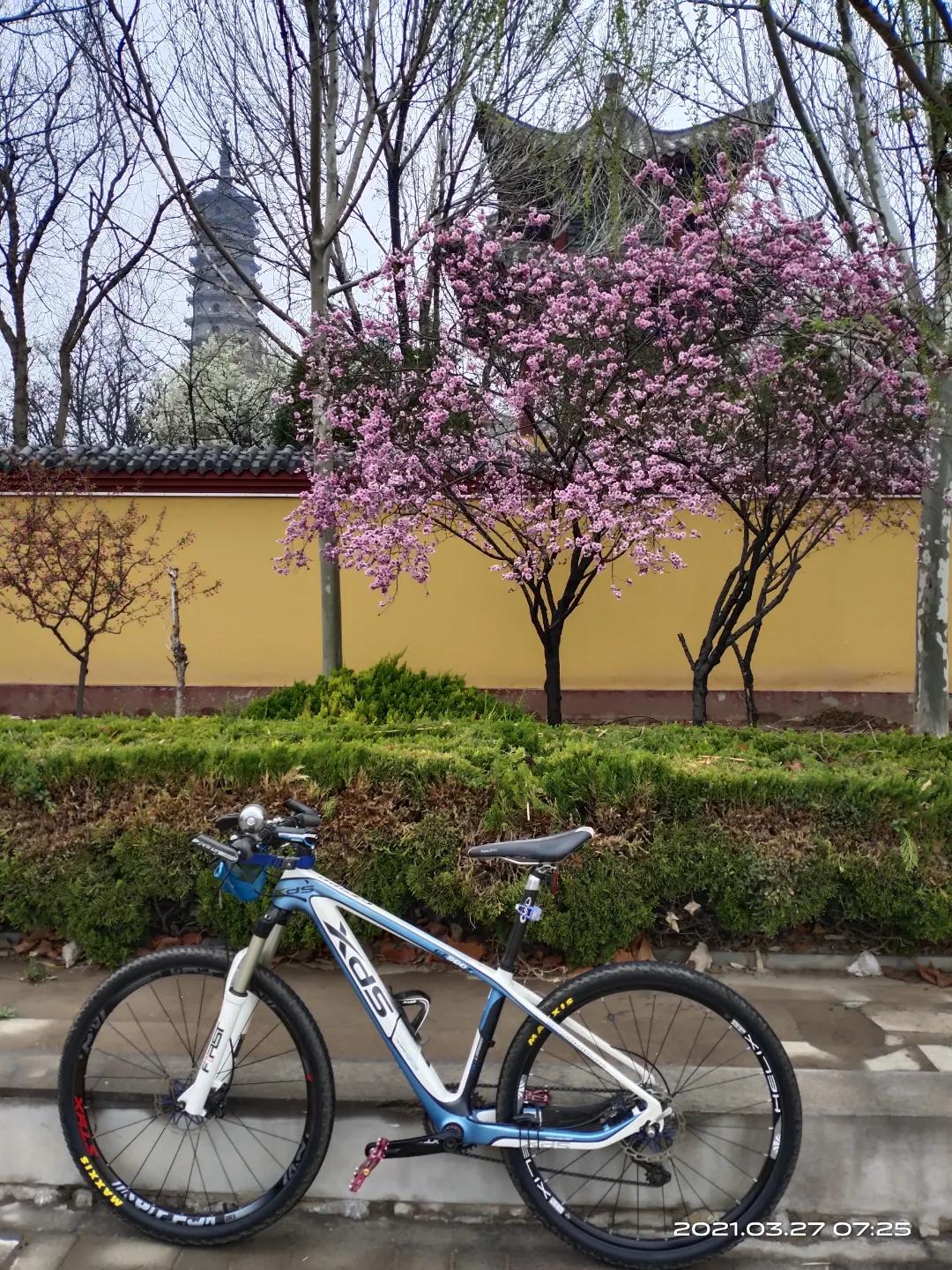 山地车需要安装后货架吗,山地车前挡泥板安装视频