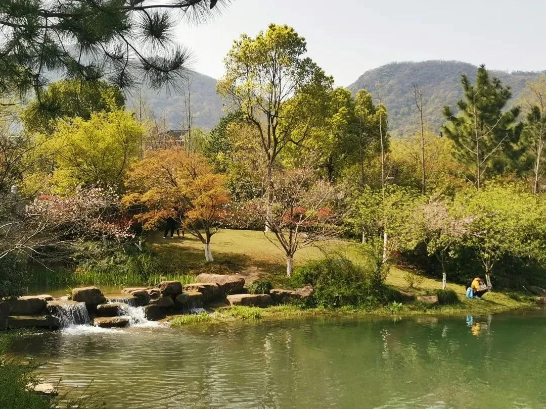 大草坪放风筝,草坪大风筝