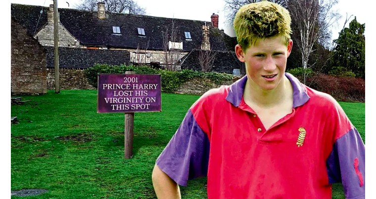 哈利波特粉丝活动,哈里粉丝