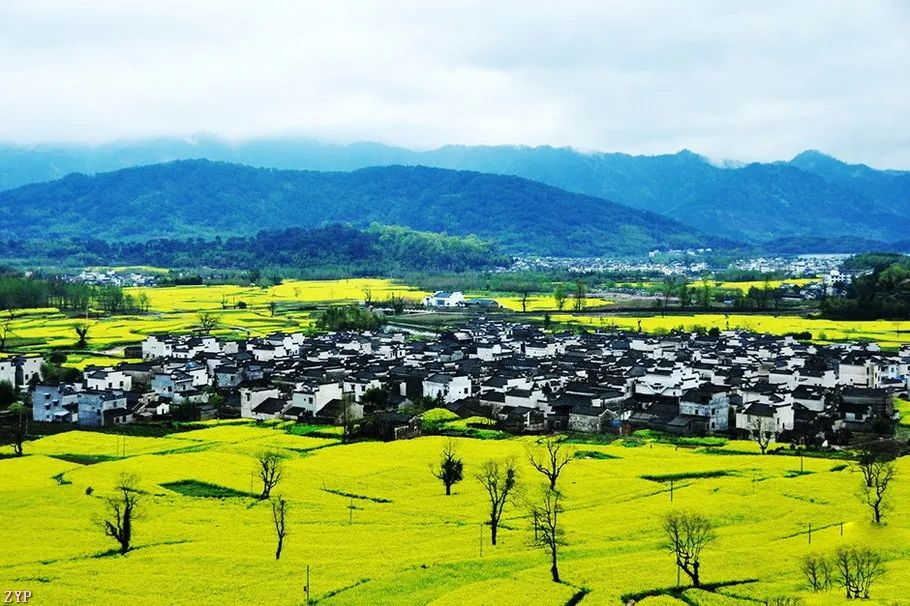 中国人文摄影获奖作品,大美中国摄影作品展获奖