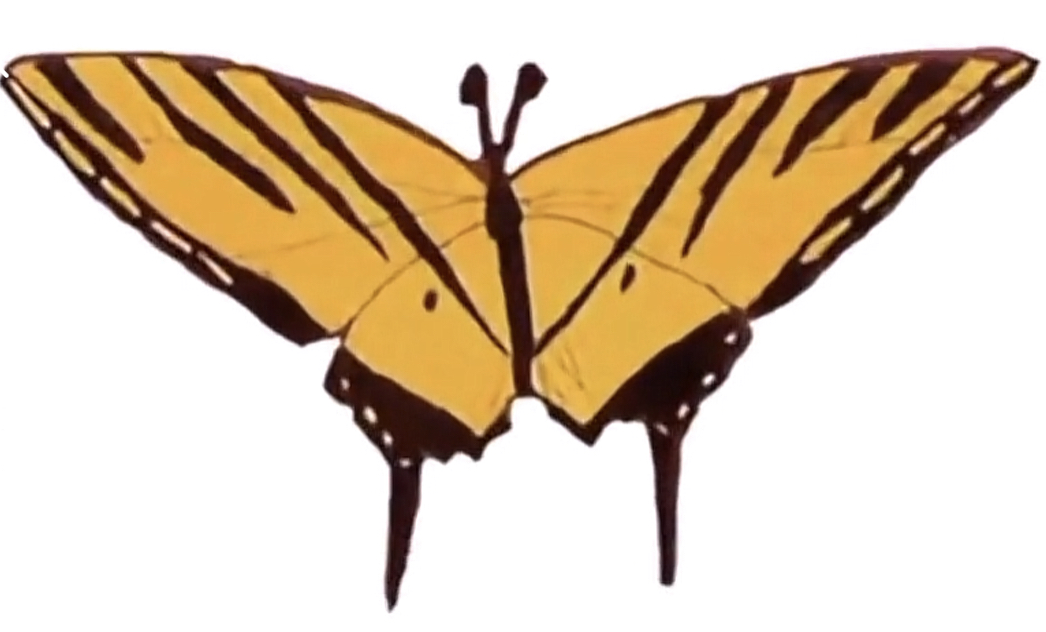 如何培养出自信内心强大的孩子,努力做到增强四个意识