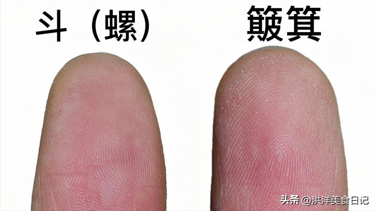 一个簸箕八个斗什么意思,老人言十指簸箕没有斗是什么意思