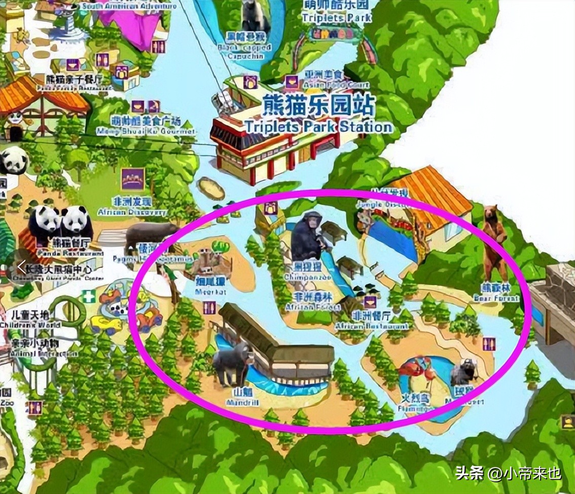 广州长隆野生动物园攻略自由行,1月广州长隆野生动物园旅游攻略