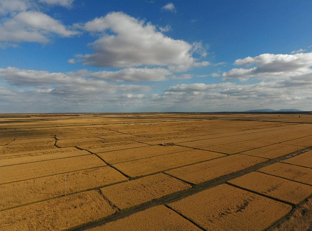 北大荒为什么退林还耕,北大荒当年咋样开垦的