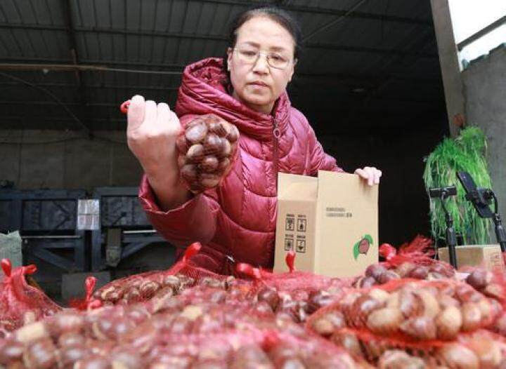 80后夫妻返乡电商创业,85后小伙返乡创业助家乡电商崛起