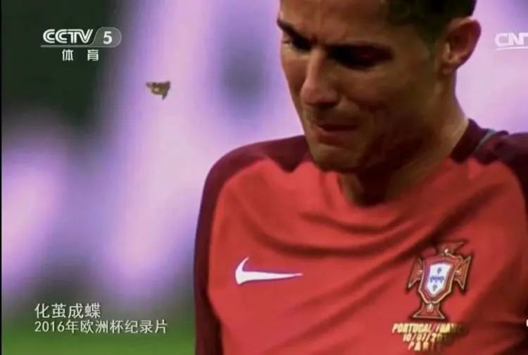 朱晓雨足球节目视频,朱晓雨经典催泪解说2014世界杯