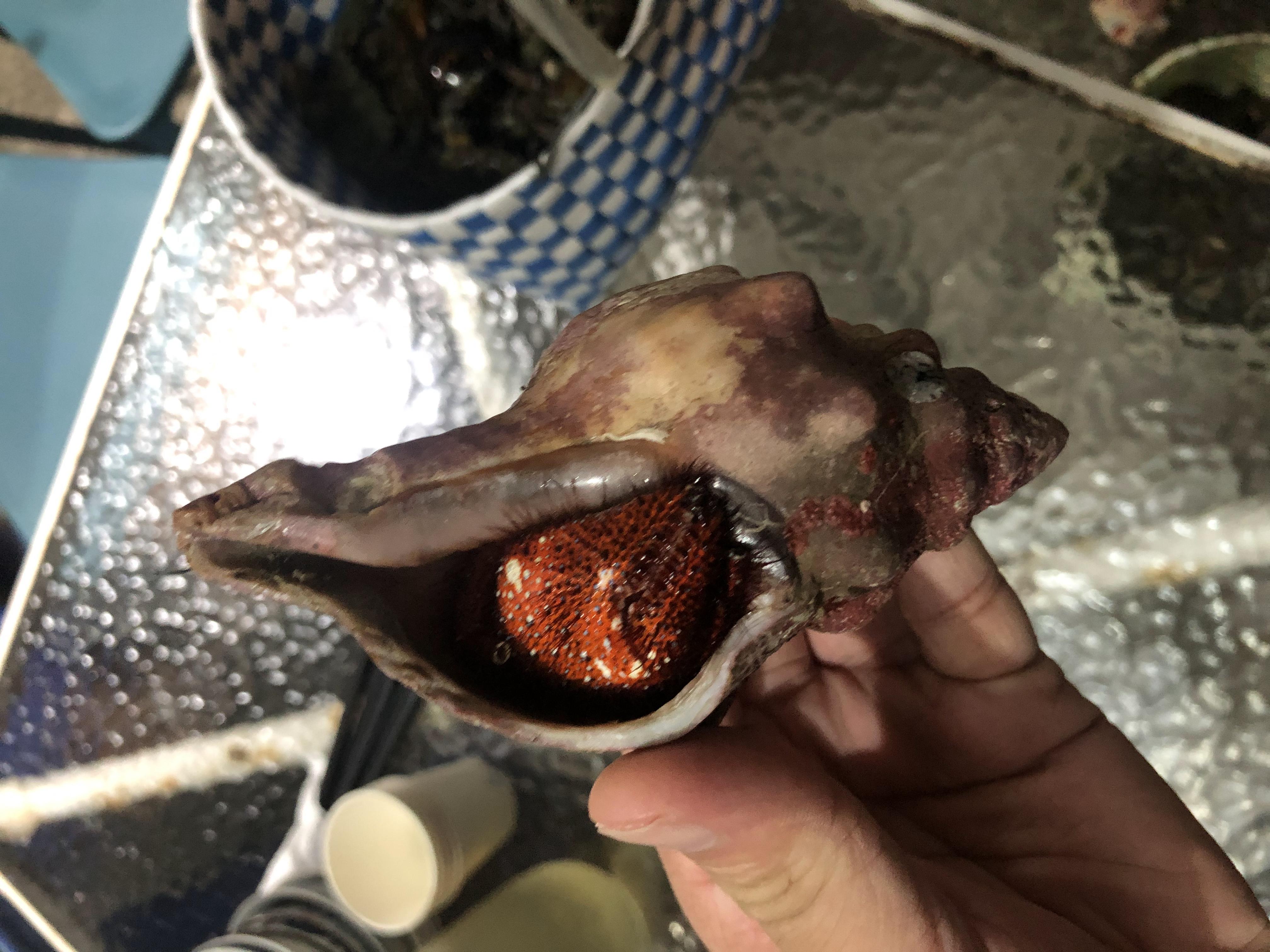 台湾8天7夜环岛行散记,台湾15天自由行攻略