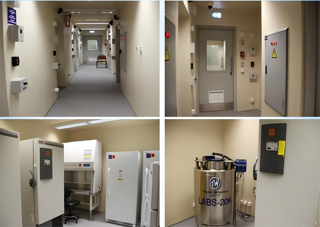 绝处逢生！女科学家用边缘疗法救绝症丈夫，9个月改写人类抗菌史