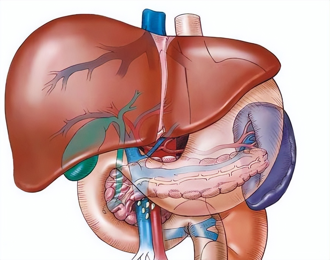 肝区疼痛不适可能是这6种情况,肝区疼痛有9大原因