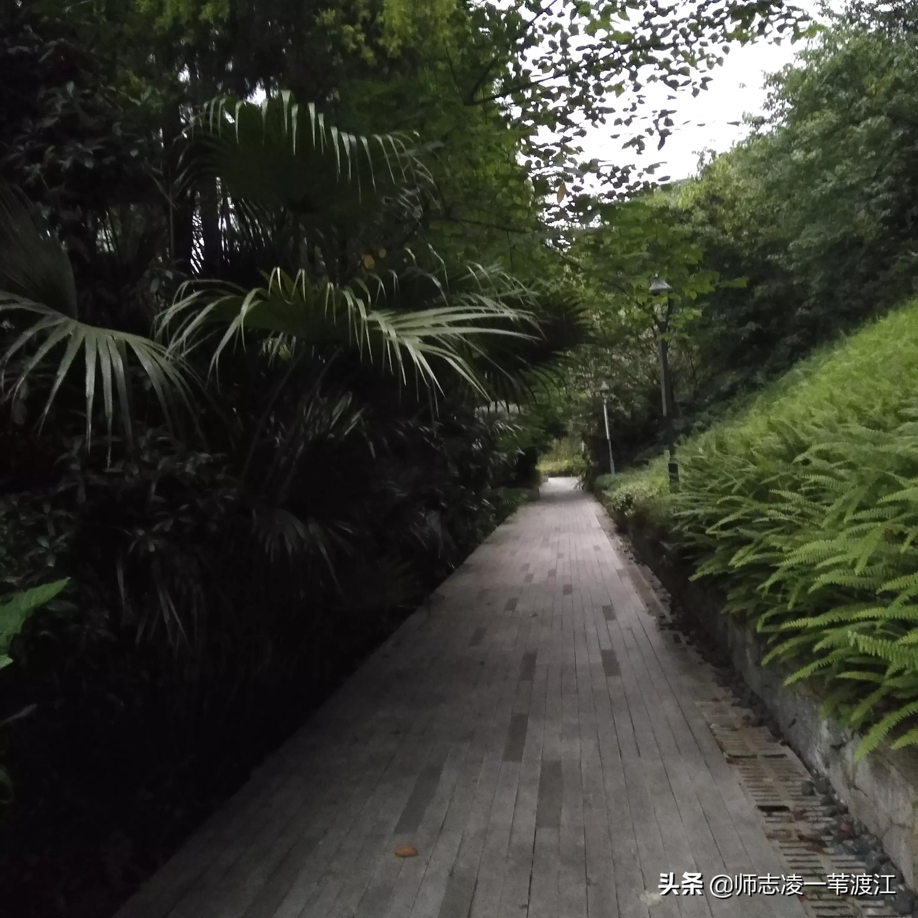 回到重庆的感受,回到重庆的感觉