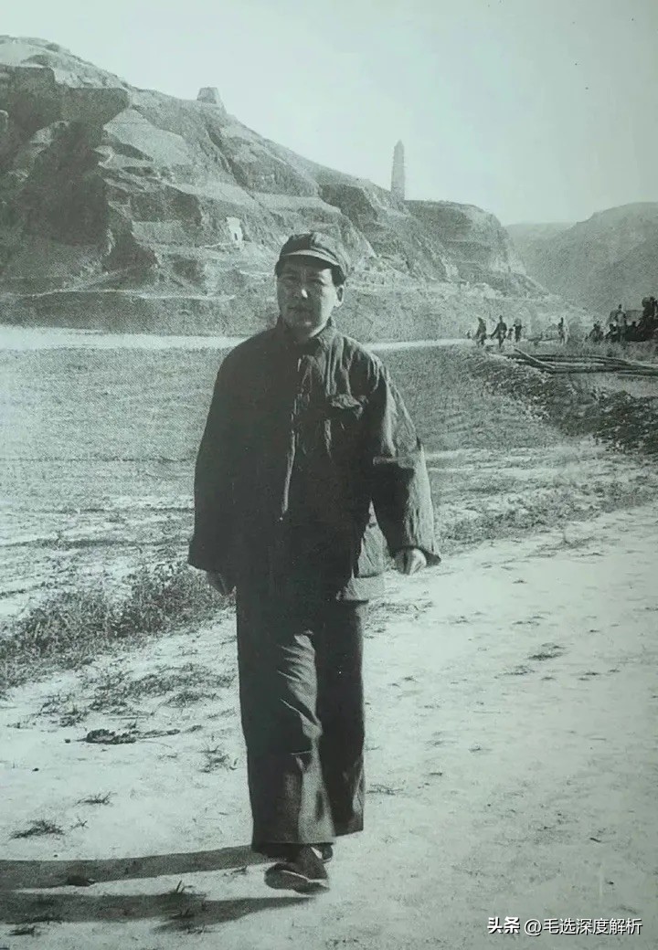毛选深度解析：读完毛选，你会发现毛*东泽**比其他人的试错成本更低