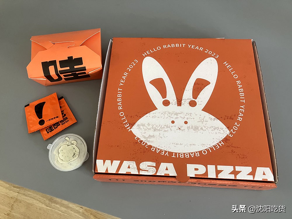 这是我吃过最贵的芝士披萨,这是我吃过的最美味的披萨饼英文