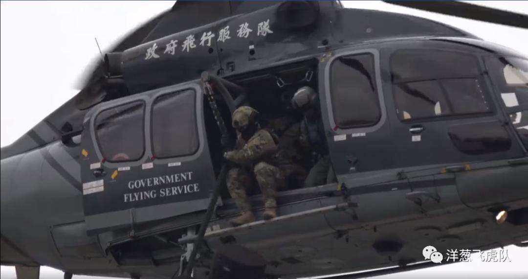 虎年说虎科普视频,虎年说虎运用了哪些说明方法