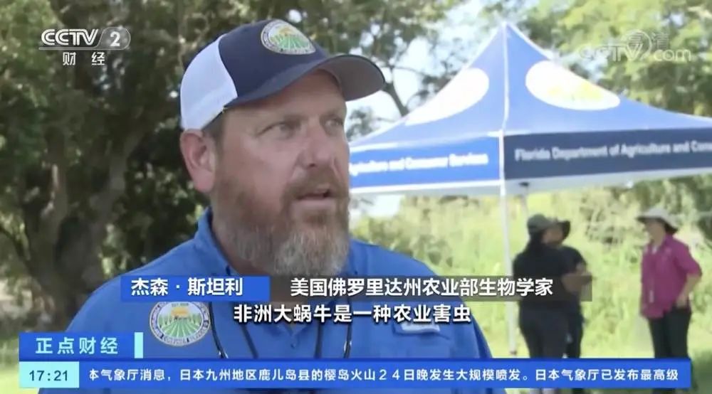 在广东，每个人都有机会被蜗牛绊倒