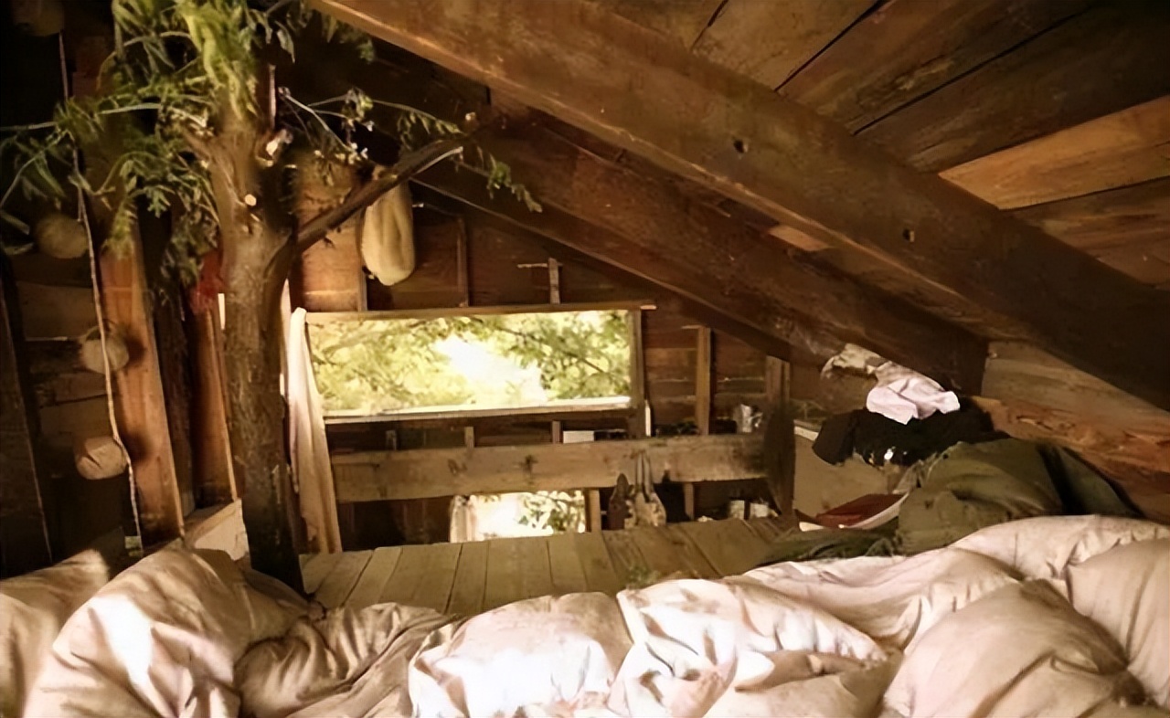 浙江慈溪杀人藏尸案徐丹出狱了吗,慈溪阁楼白骨案徐丹近况