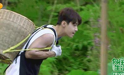 《向往的生活》第七季蘑菇屋,《向往的生活7》常驻嘉宾