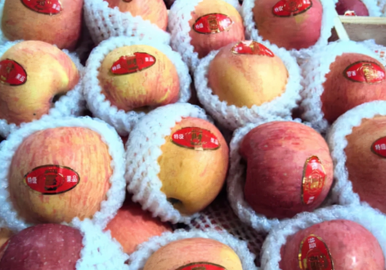 补肝吃什么好养肝食物排行榜必看,春天最养肝护肝的10种食物图片