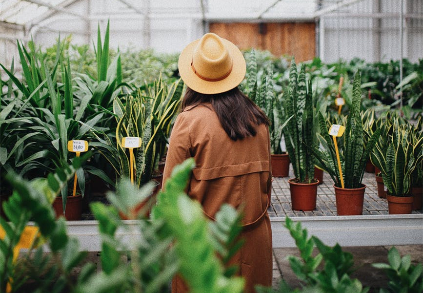 夫妻感情不合是孽缘吗,夫妻感情不和指什么