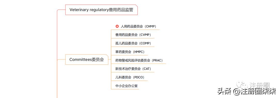 欧盟简介及欧洲药物管理局（EMA）官网介绍