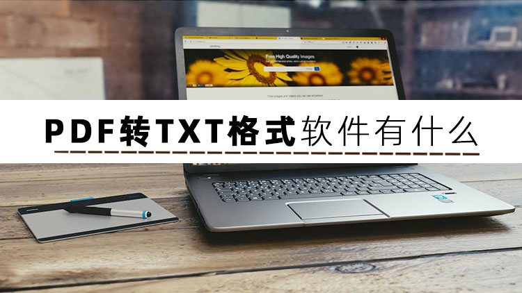 谁有pdf转换txt格式的工具,大文件pdf转换txt免费转换器