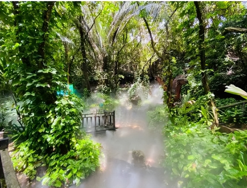 热带雨林是地球之肺教学视频,热带雨林是开发还是保护