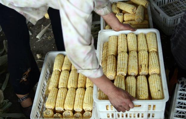 美急求会面后，中企取消对美订单，美媒：退单潮或将继续