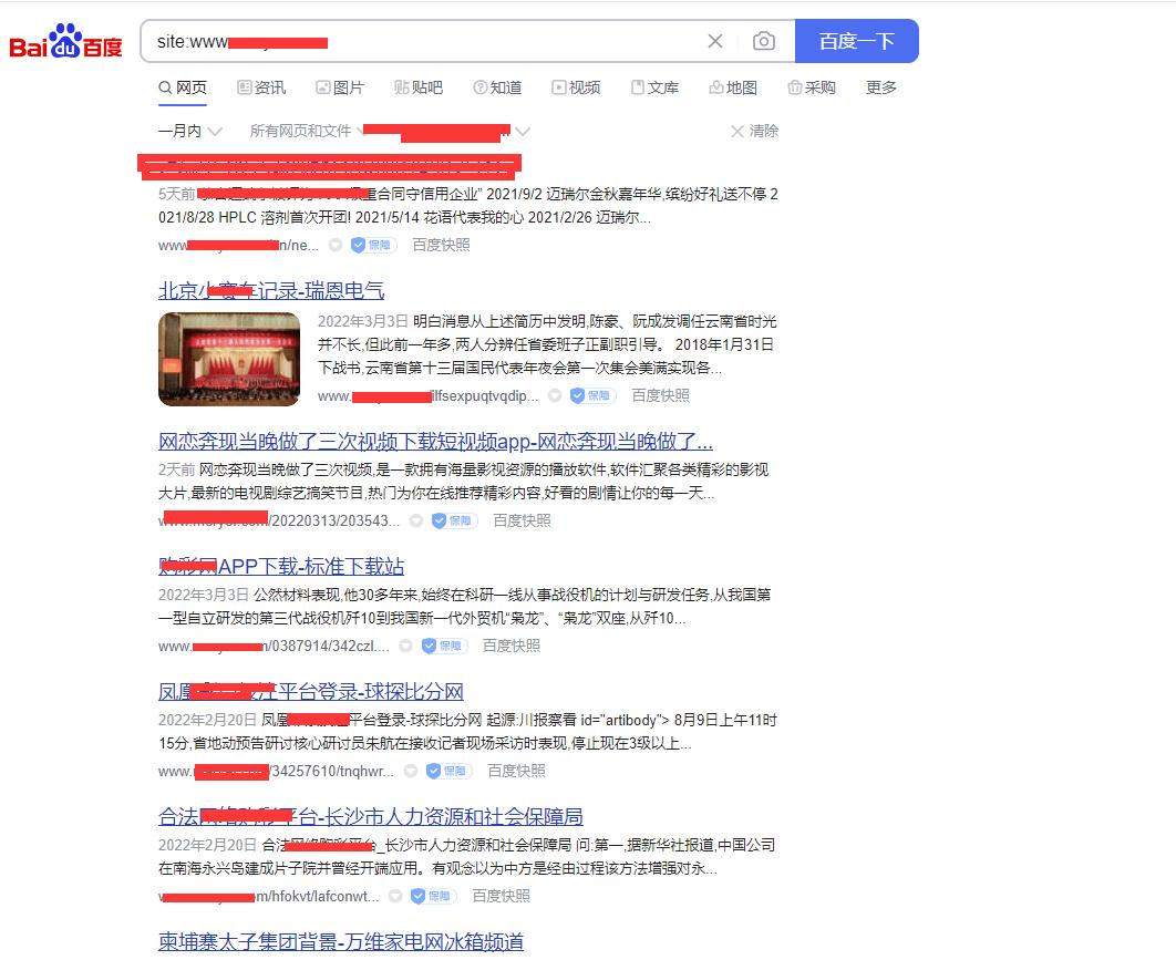 网站快照被劫持只能换域名,网站快照劫持是什么