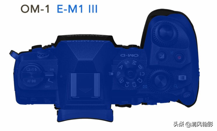 拍鸟用什么镜头性价比最高,拍鸟买r5还是r6好