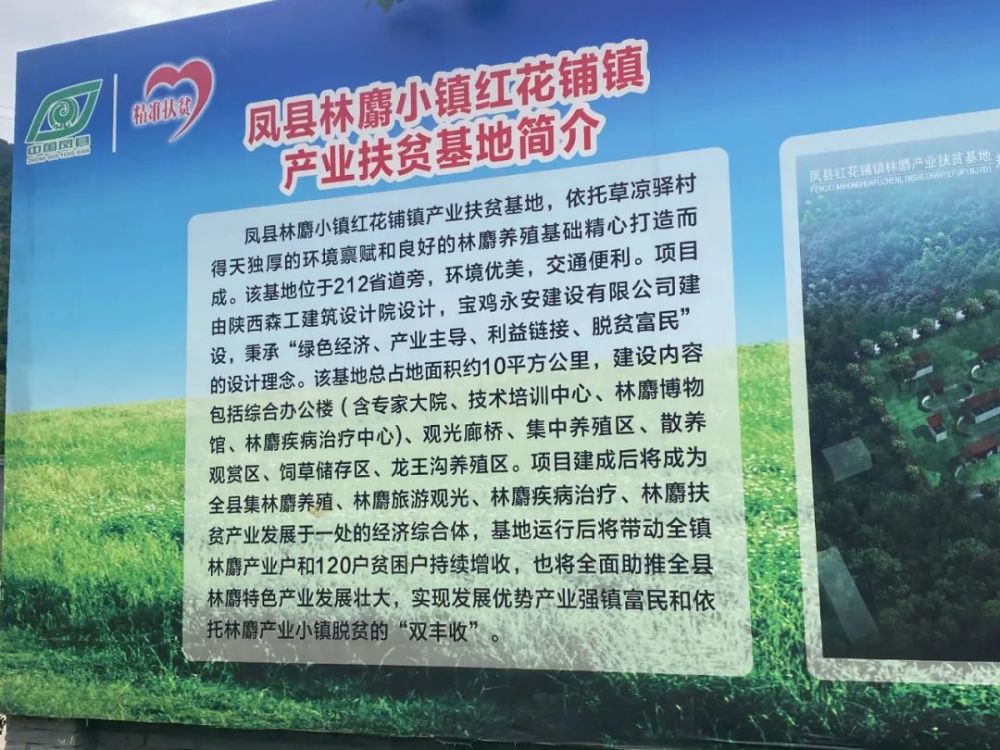 以点带面促营销,以点带面是什么效应