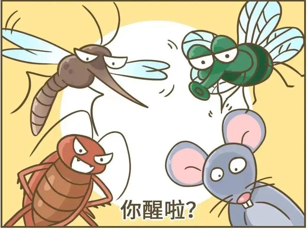 爱国卫生运动预防登革热总结,爱国卫生专项行动除四害小知识