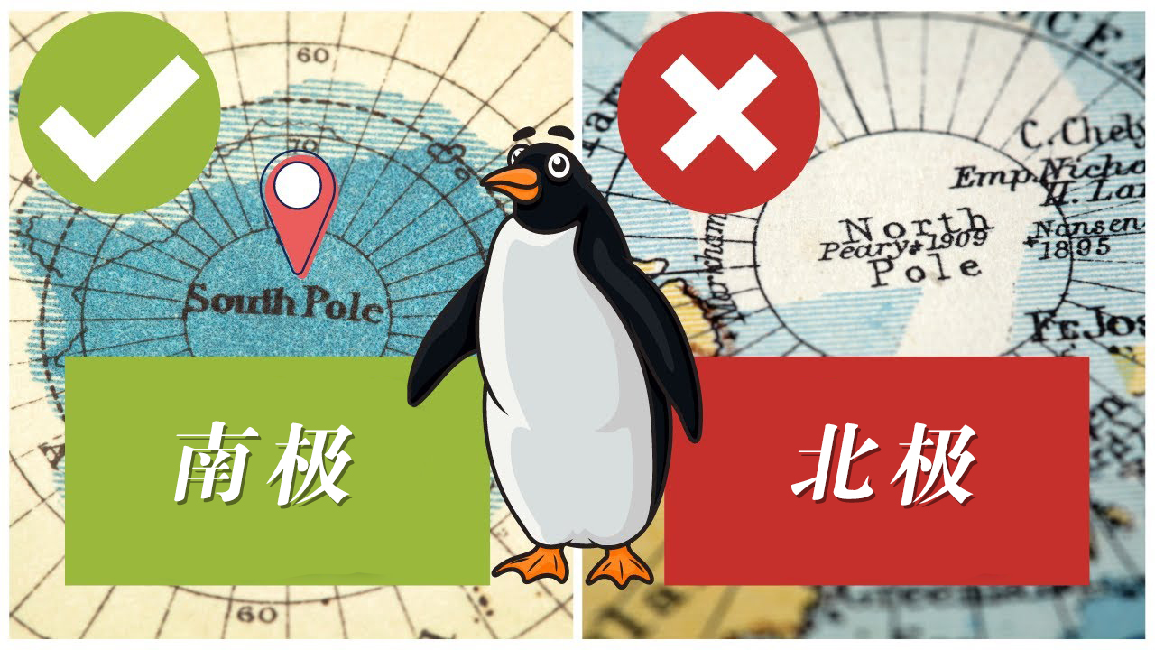企鹅为什么生活在南极不在北极呢,第一只企鹅为什么不能生活在北极