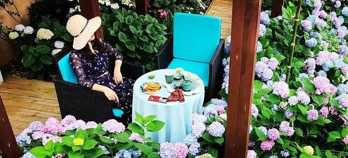 「原创诗词」黛影儿|既是人间虚己客，天地悠悠谁曾来