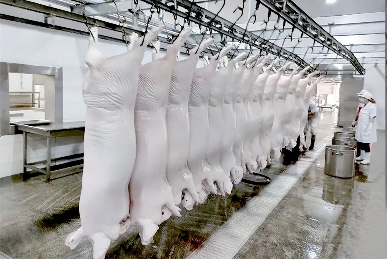 屠宰场预冷水池改造,屠宰场高温热泵节能改造