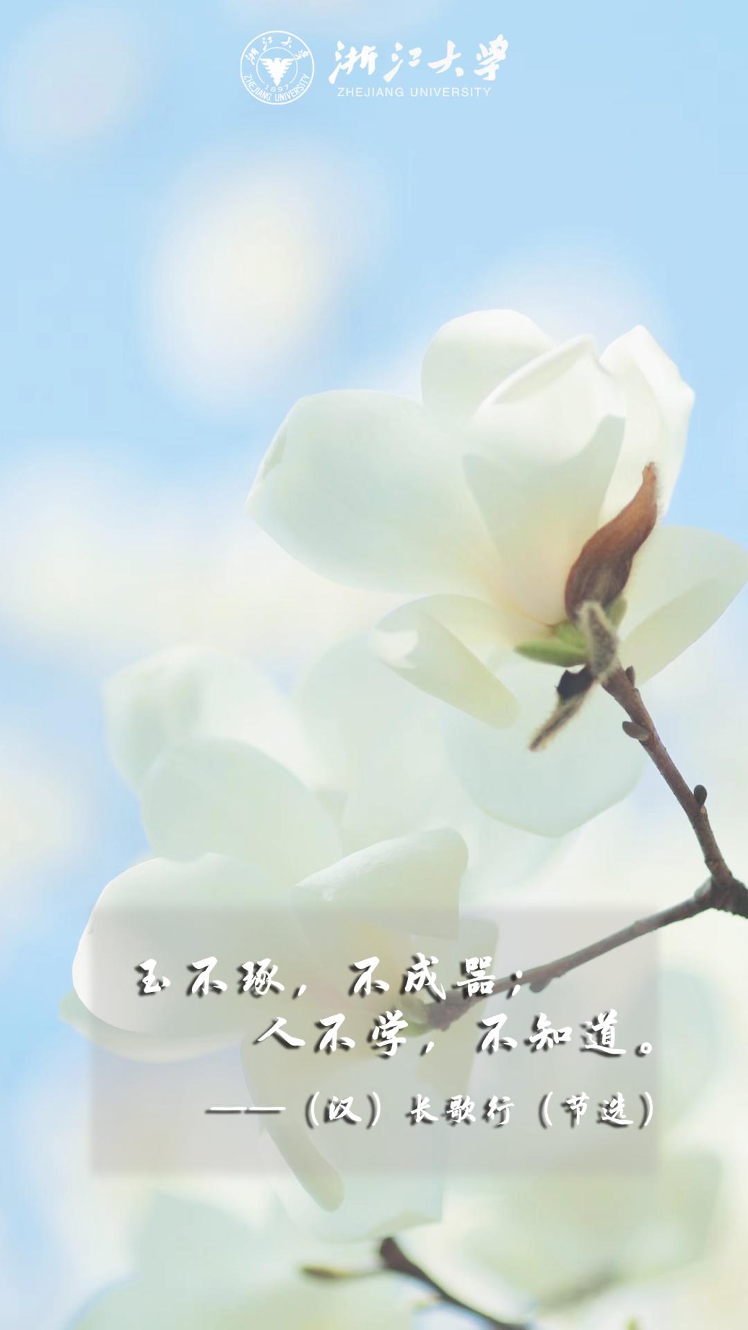 浙江大学中国最美校园,浙江大学玉泉校区校园