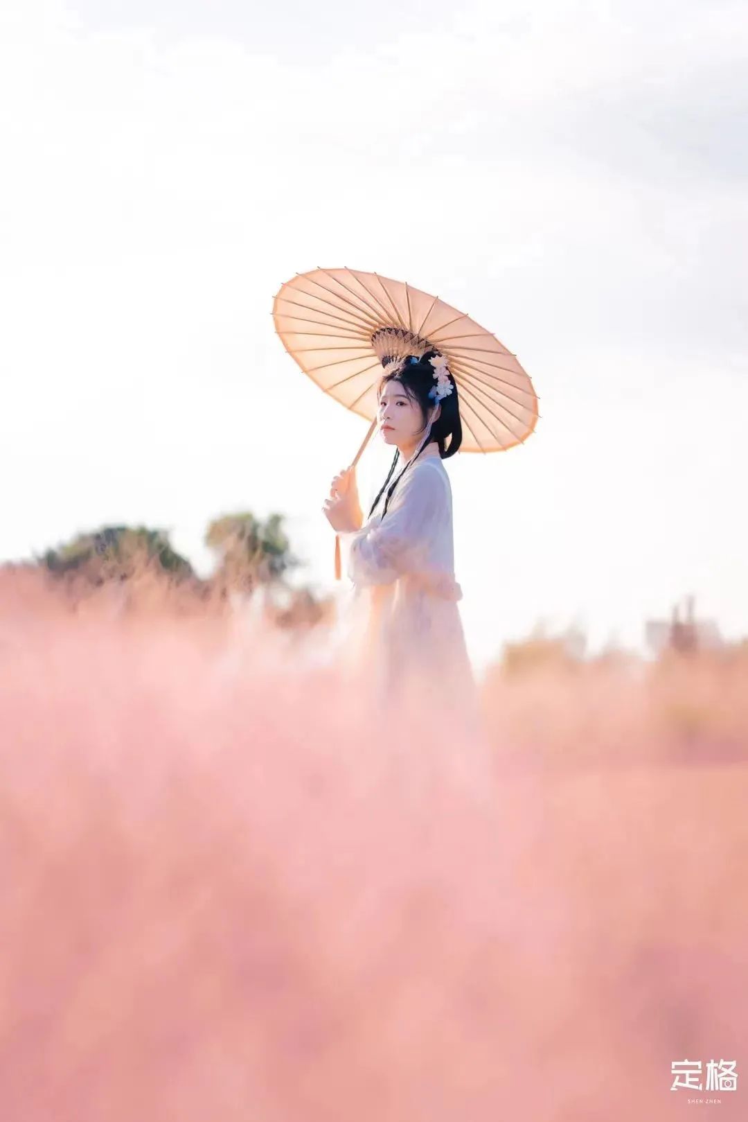 深圳3月14个赏花胜地全部免费,深圳清明节踏青赏花好去处