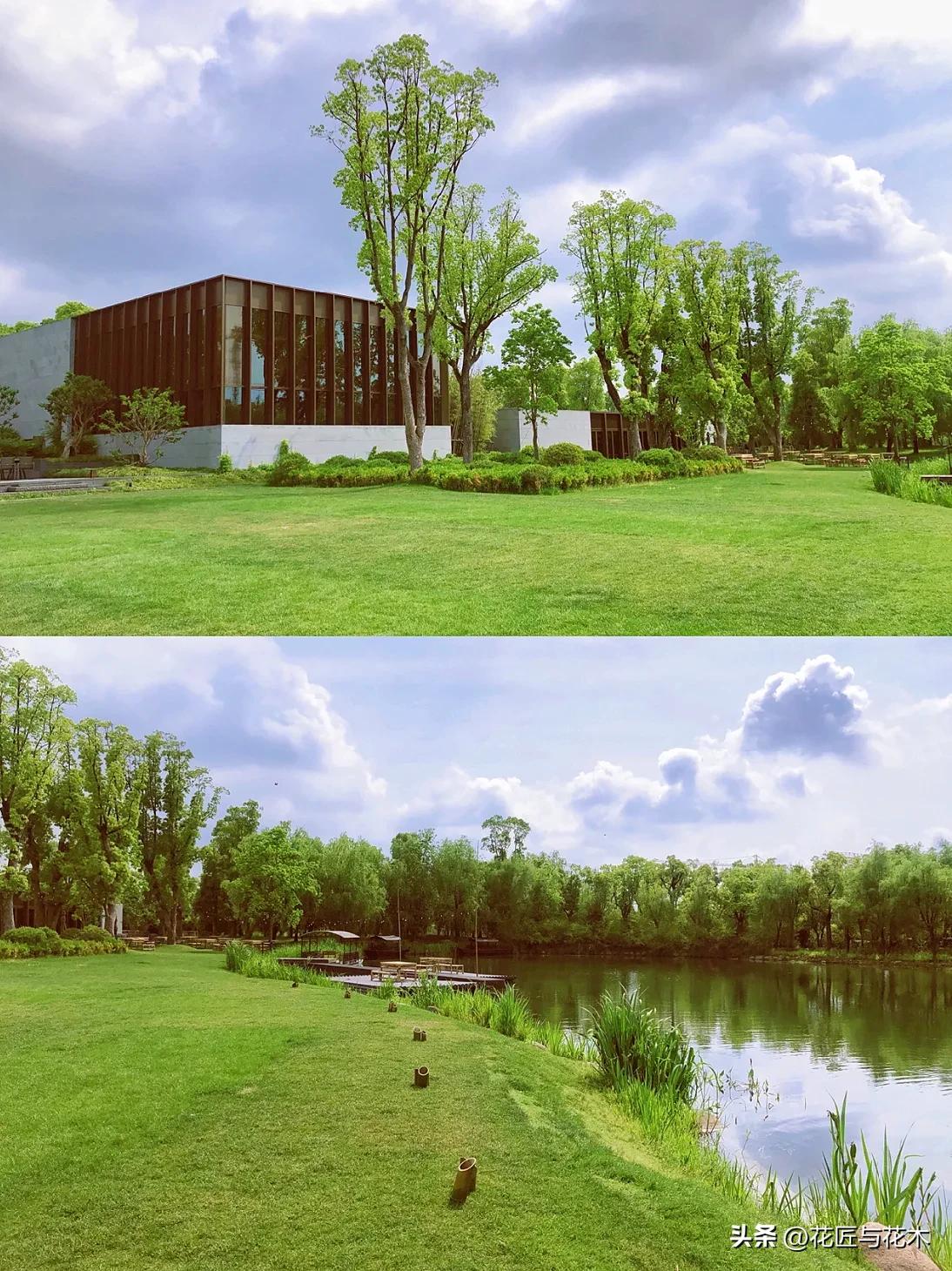 来上海住养云安缦享受园林风光,上海养云安缦剖面图