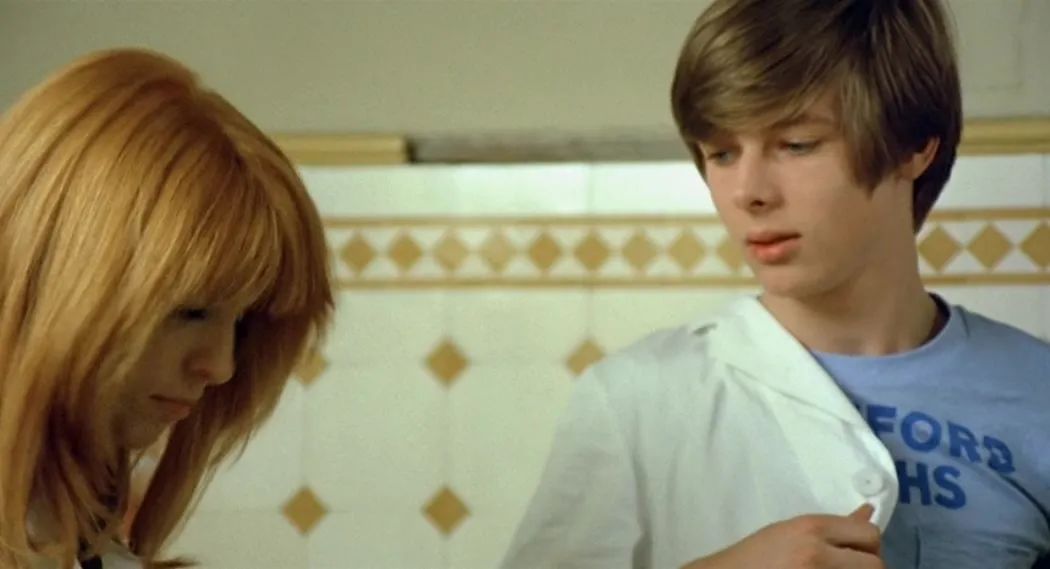 关于驴的电影大全,关于驴的电影解说