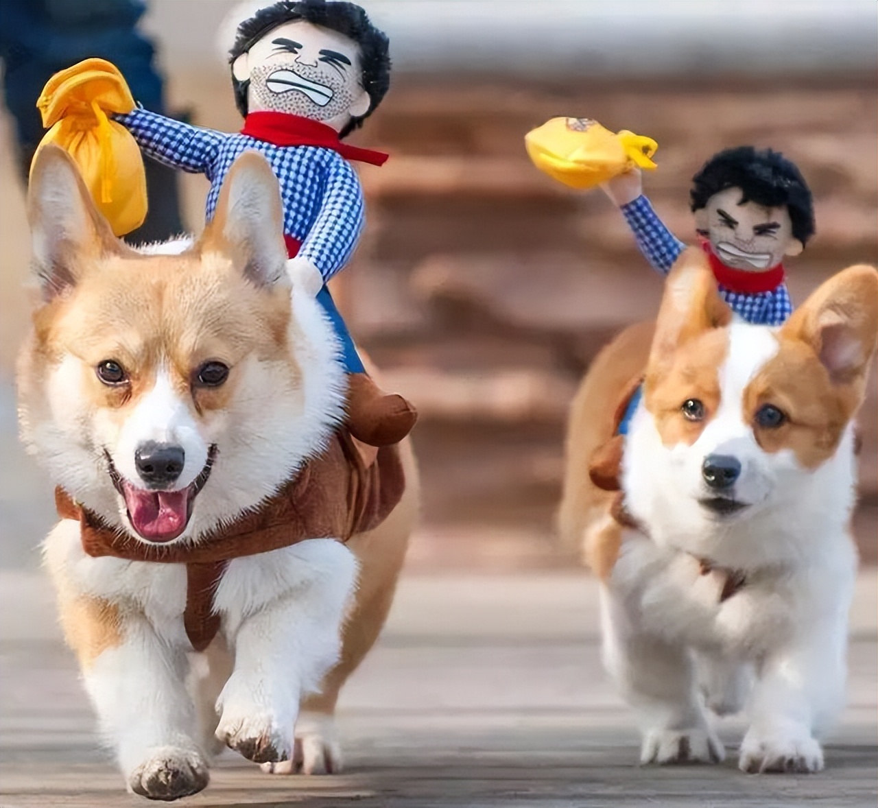 2023是打工好还是创业,2023年创业好项目